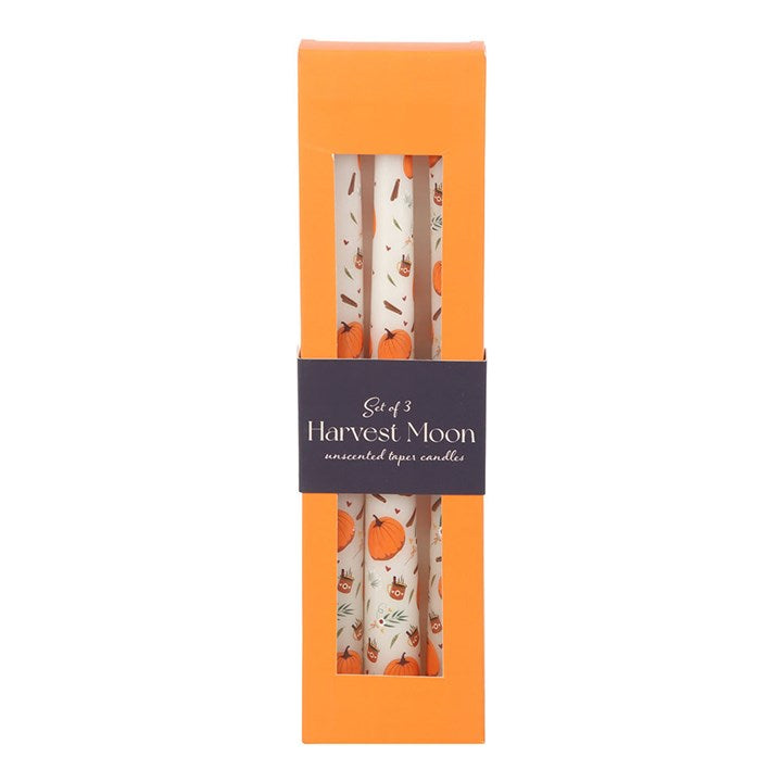 Set of 3 Pumpkin Taper Candles N/A