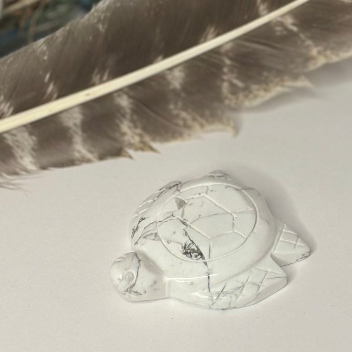 Howlite turtle Crystal - Witch, Pagan, Witchcraft, Altar, Spiritual