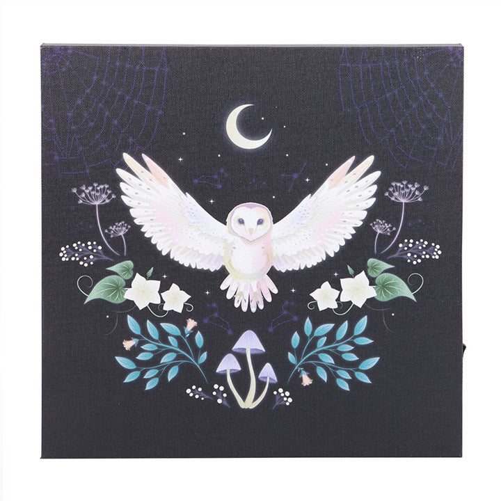 Night Owl Light Up Canvas Plaque N/A