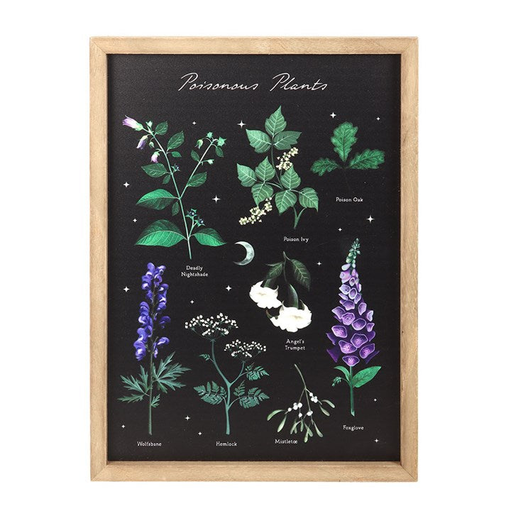 Poisonous Plants Framed Wall Art Print Front Black Green