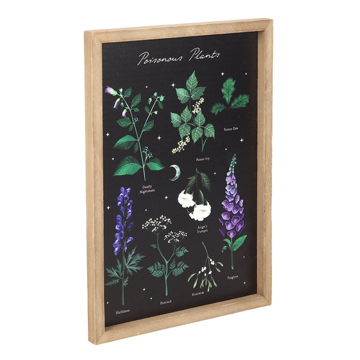 Poisonous Plants Framed Wall Art Print Side Black Green