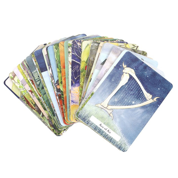 The Witches' Wisdom Tarot Cards Standard Edition N/A