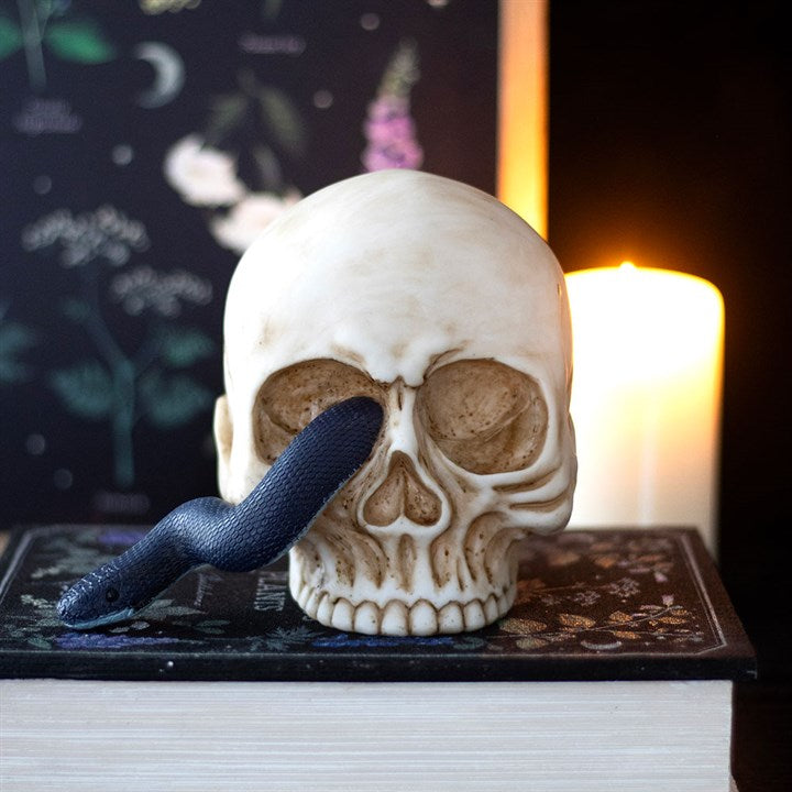 Skull Ornament with Snake N/A
