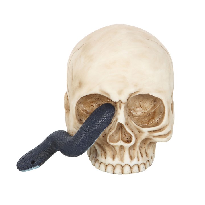 Skull Ornament with Snake N/A