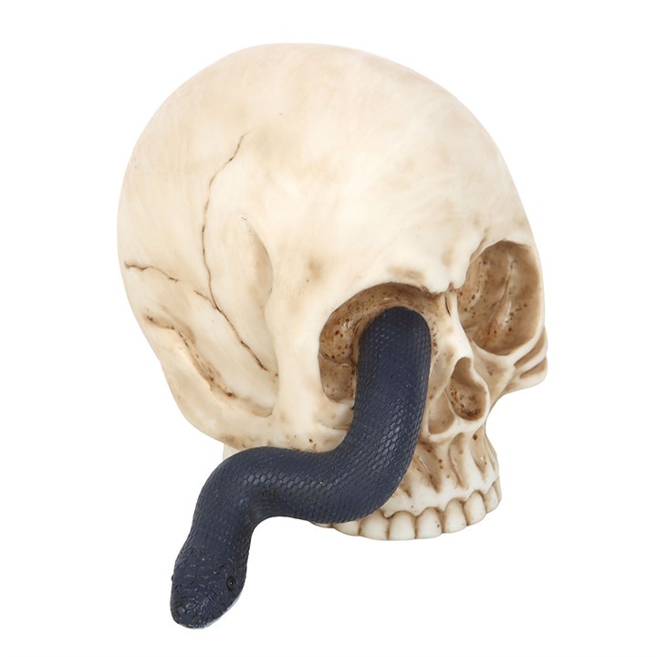 Skull Ornament with Snake N/A