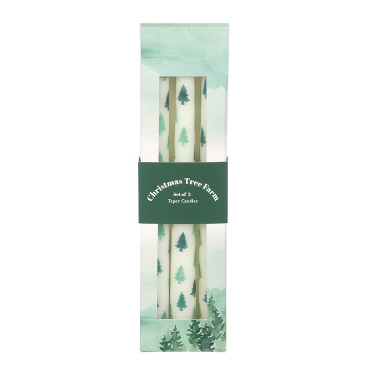 Set of 3 White Fir Tree Taper Candles N/A