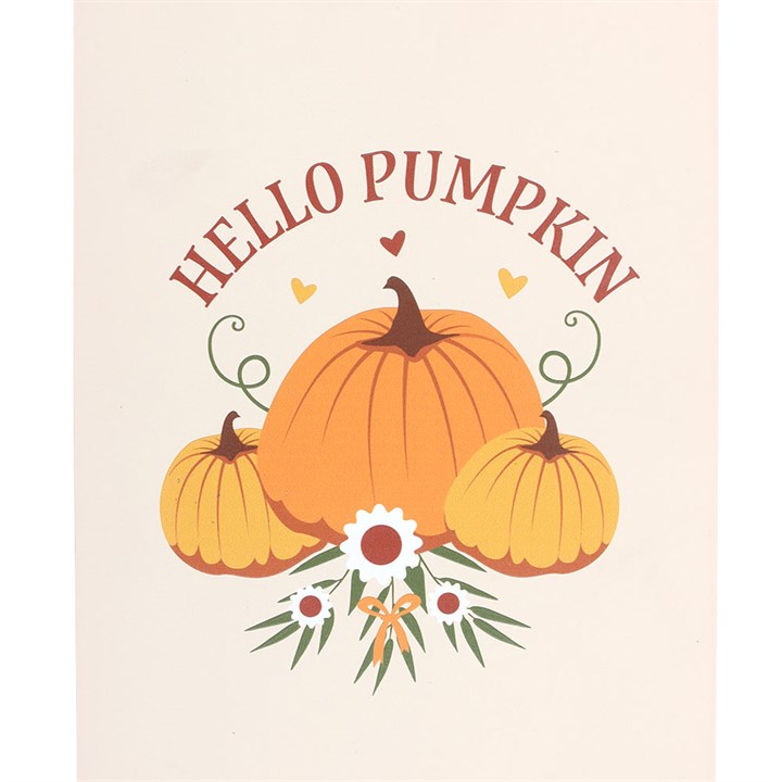 Autumn Days Hello Pumpkin Hanging Sign close up orange white