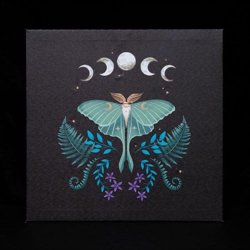 Luna Moth Light Up Canvas Plaque front black blue