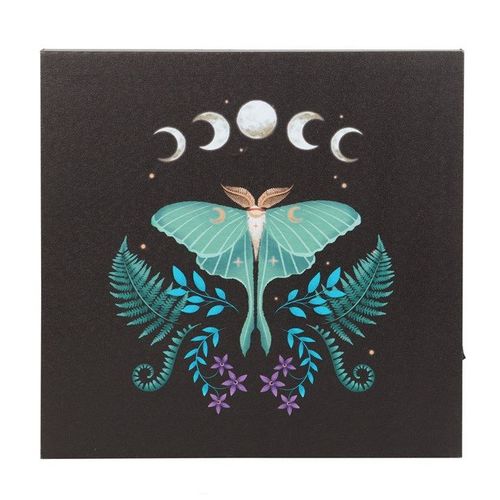 Luna Moth Light Up Canvas Plaque front black blue