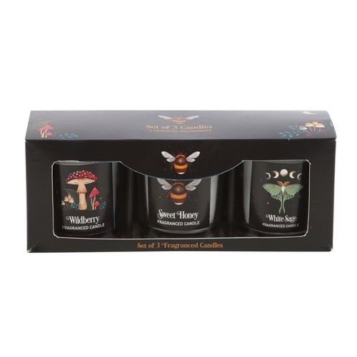 Dark Forest Votive Candle Trio N/A