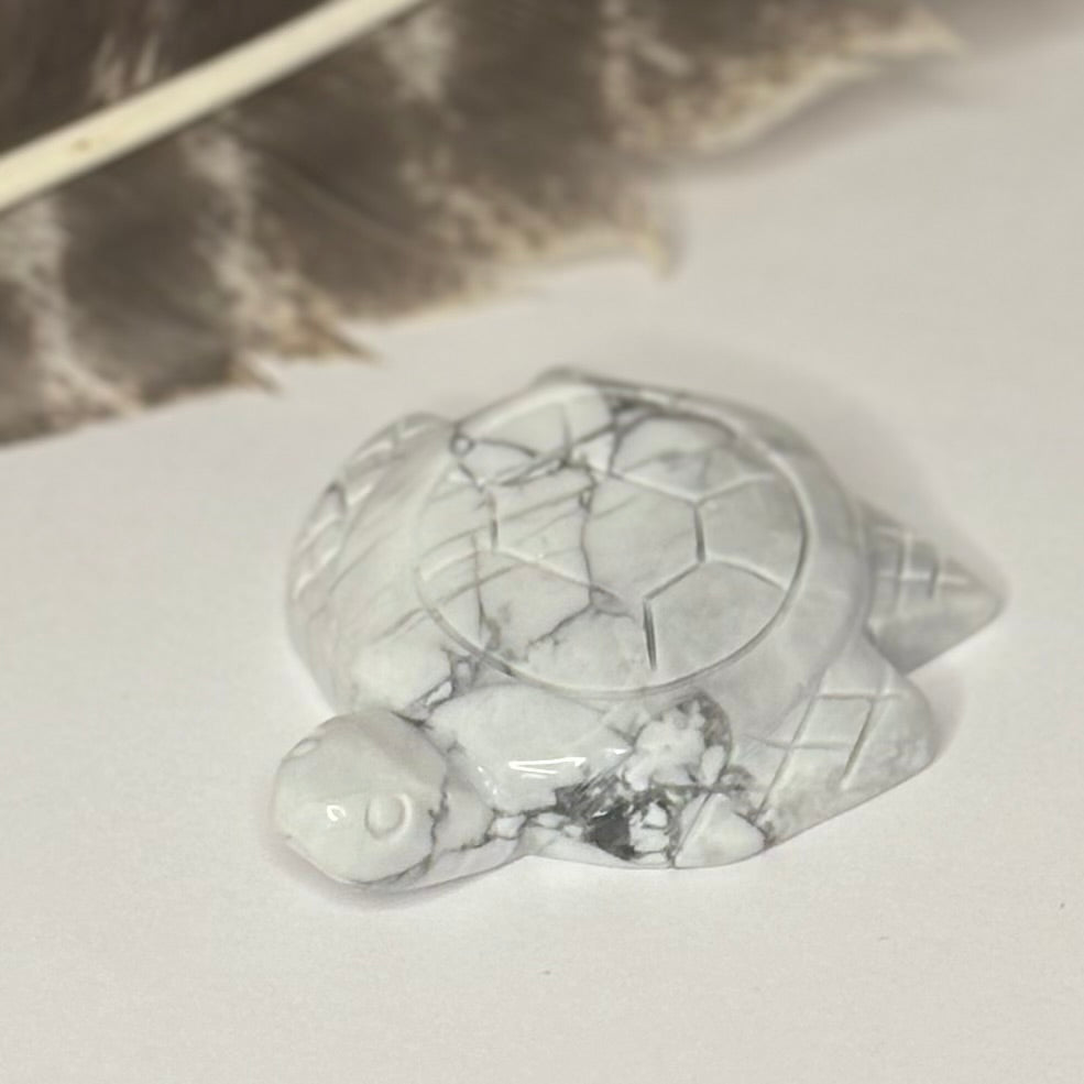 Howlite turtle