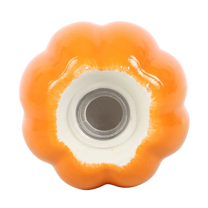 Pumpkin Salt and Pepper Shakers N/A