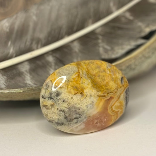 Crazy lace agate palm stone