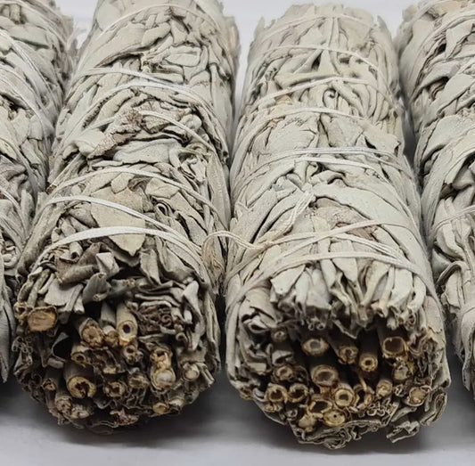 White sage smudge stick