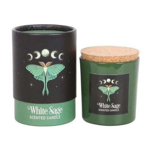 Luna Moth White Sage Candle front black green