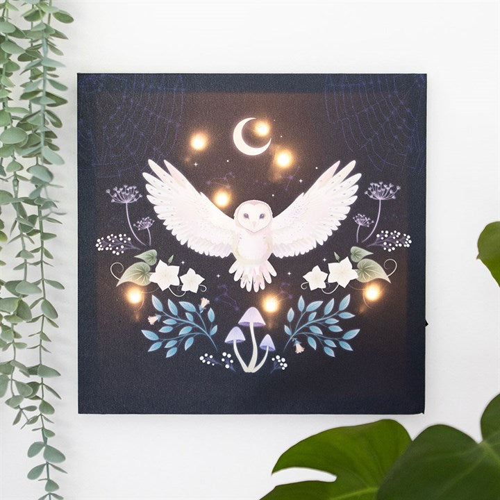 Night Owl Light Up Canvas Plaque N/A