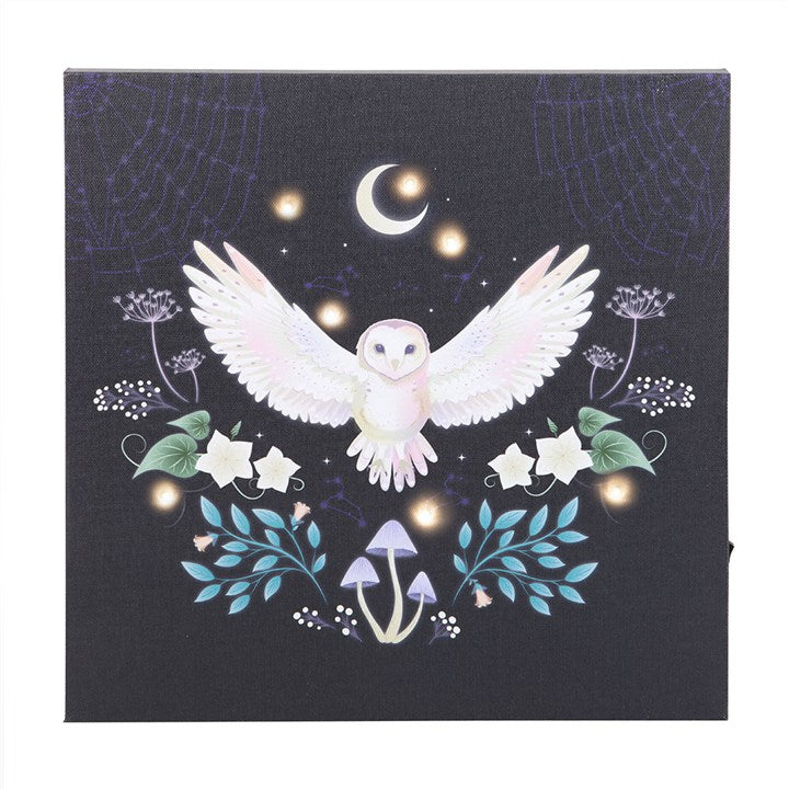Night Owl Light Up Canvas Plaque N/A