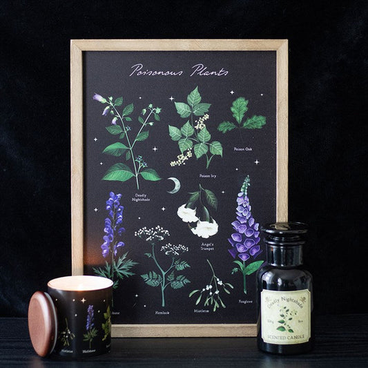 Poisonous Plants Framed Wall Art Print Front Black Green