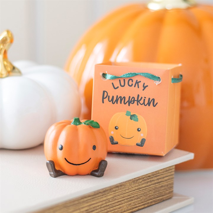 Set of 16 Cute Lucky Pumpkin Ornaments in Display N/A