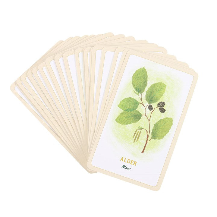 Forest Magic Oracle Cards N/A