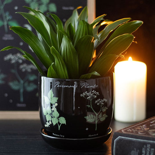 Poisonous Plants Plant Pot N/A