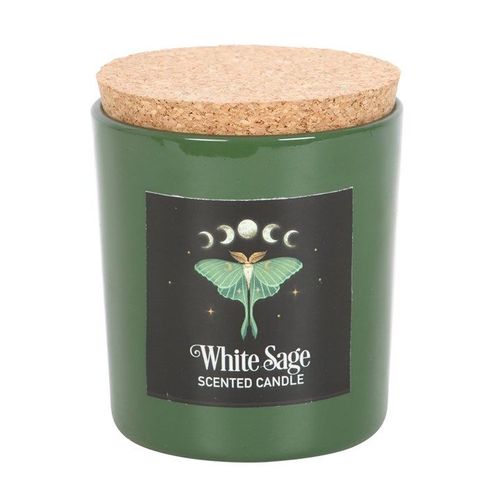 Luna Moth White Sage Candle front green black