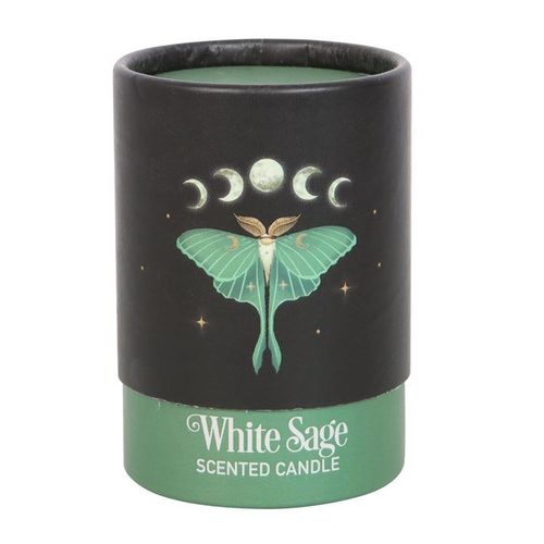Luna Moth White Sage Candle front black green