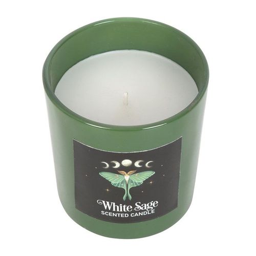 Luna Moth White Sage Candle top green black 