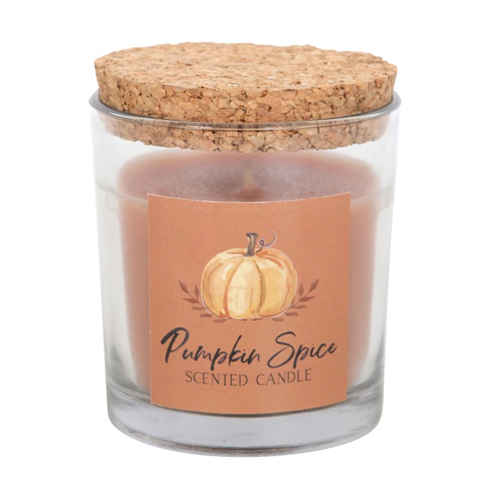 Pumpkin Spice Autumn Candle back orange white