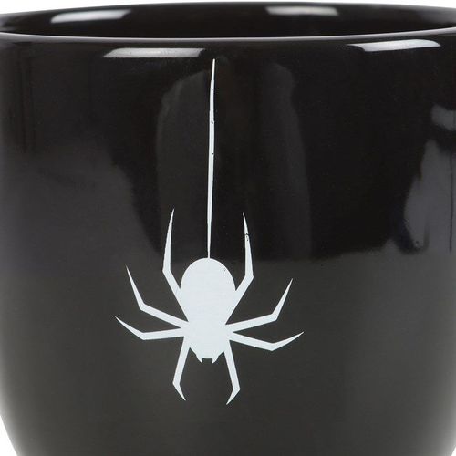 Black Spider Teacup N/A